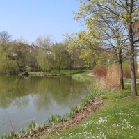 Dorfweiher in Adelmannfelden